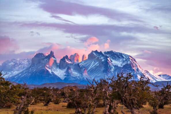Landscape