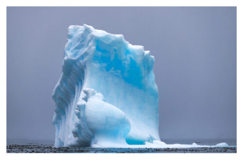 Where Icebergs go to Die