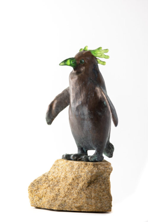 Macaroni Penguin