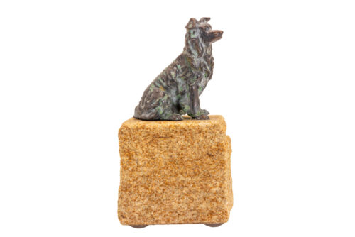 Sheepdog - Miniature