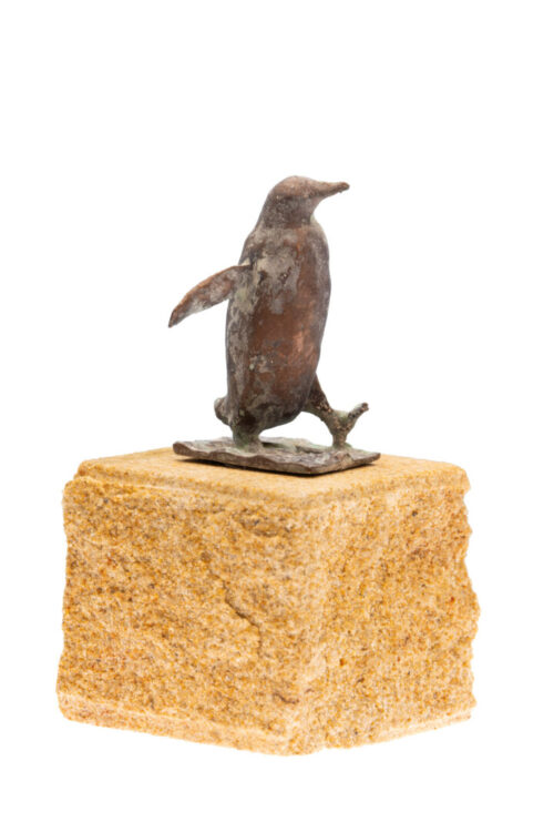 Mini - Gentoo Walking